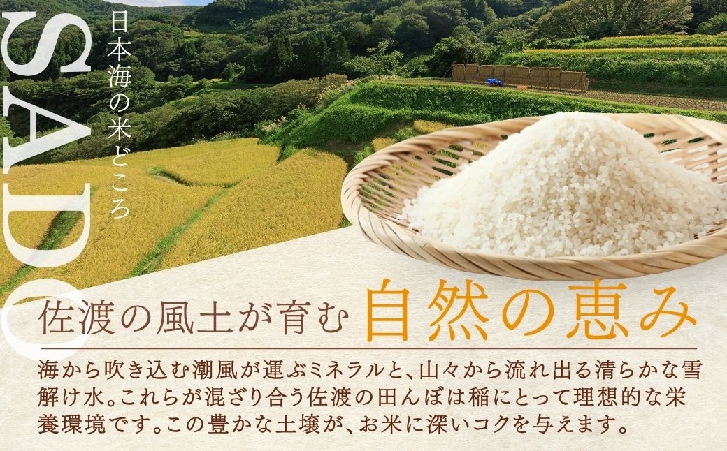佐渡からひと足早い新米！極早生新品種「なつひめ」
