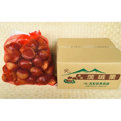 茨城県かすみがうら市産 熟成 生栗 3Lサイズ　約2kg〈2025年10月中旬より順次発送予定〉【配送不可地域：離島】