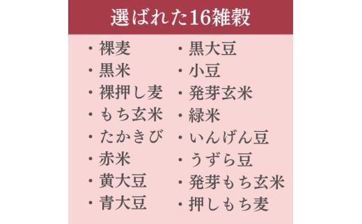 定期便 6ヶ月 ご飯パック 金賞 健康米 十六雑穀米  120g×12個入り 国産 レンチン もち麦 軽食 夜食 簡単 白米 麦 食物繊維 ビタミン 御飯 ごはん パック ご飯 パックライス 