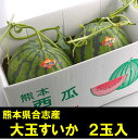 【ふるさと納税】熊本県 合志市産 大玉すいか 春のだんらん 2玉入 約10kg～12kg 国産 熊本 合志 送料無料【2025年4月上旬-2025年5月下旬発送予定】