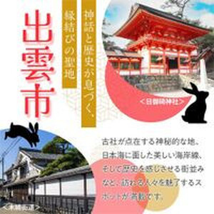 【出雲市】JTBふるさと旅行クーポン（30,000円分）有効期間3年（Eメール発行）｜予約 宿泊 観光 体験  温泉 ホテル 旅館 チケット 子供 子連れ カップル 家族 店頭 オンライン ネット 電