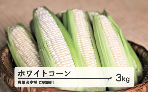 ≪先行予約≫ 農業者支援 ご家庭用 2025年 山形県産 ホワイトコーン 3kg 生で味わう 白とうもろこし トウモロコシ コーン 夏 野菜 やさい ※沖縄・離島への配送不可 F21A-429