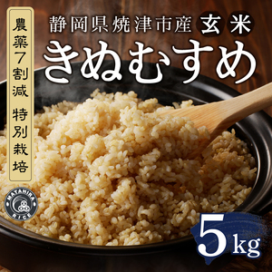 a18-075　農薬7割減 特別栽培 きぬむすめ 玄米 5kg