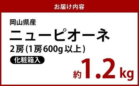 【先行予約】岡山県産 ニューピオーネ 2房（1房600g以上）化粧箱入り【2026年8月下旬～10月上旬まで順次発送予定】【ニューピオーネ ぶどう 果物 フルーツ 国産 人気 おすすめ 岡山県 倉敷市