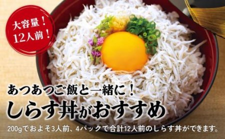 しらす 800g ( 200g × 4パック ) 冷凍 小分け( しらす 魚 魚介 魚介類 しらす ちりめん おにぎり パスタ ピザ 丼 愛媛県松山市 愛媛県 松山市 愛媛 松山 しらす 魚 しらす 