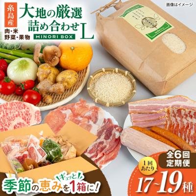 ふるさと納税 糸島市 全6回定期便 糸島産 肉 米 野菜 果物 厳選詰め合わせ MINORI BOX L [AOP017]