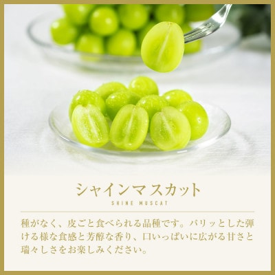 山梨県山梨市産　シャインマスカット　～SWEET JEWELRY～　20粒【配送不可地域：離島】