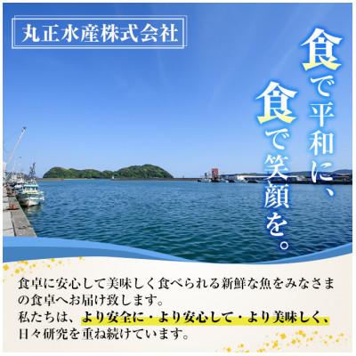 ふるさと納税 門川町 骨取りさば切身と鮭カットのセット(合計約860g) |  | 01