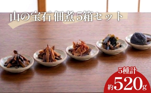 
                  FHS22 山の宝石 佃煮 5箱セット 5種 計約520g
                