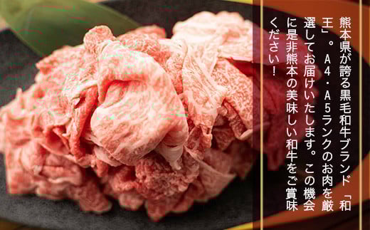 熊本県産 黒毛和牛 和王 切り落し 300g×3 計900g 牛肉