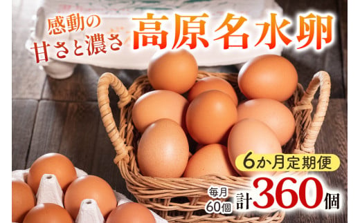 【定期便6回】高原名水 卵 60個｜豊かな自然で育ったアスタキサンチン含有の高原名水卵【感動の甘さと濃さ】栃木県 矢板市