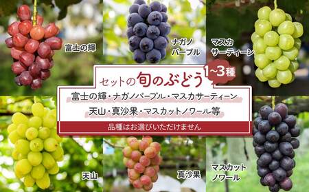 【先行受付2025年発送】クイーンルージュ（R)と旬のおすすめ3種セット（合計3~4房、約2kg）｜秀果園　※2025年9月中旬以降発送予定　種なし　皮ごと　ぶどう　クイーンルージュ