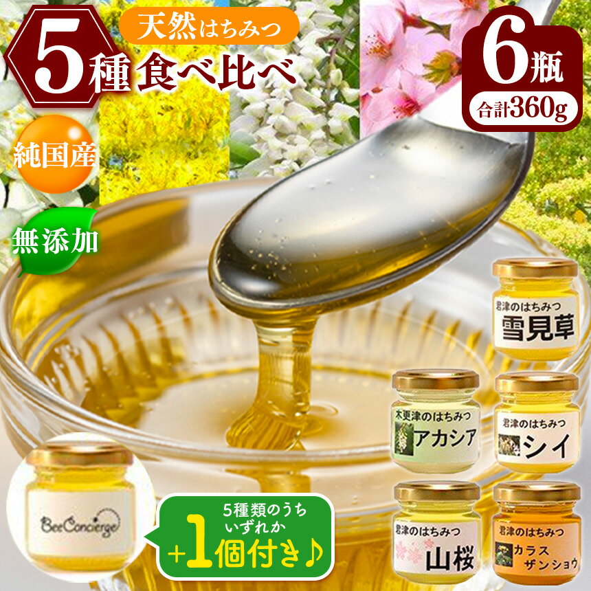 【ふるさと納税】純国産 国産 無添加 Bee concierge はちみつ 5種 食べ比べセット 60g 6瓶 | アカシア 雪見草 カラスザンショウ 山桜 どんぐり ［ シイ ］）各60g × 1個 （5種類のうち1つ）送料無料 ビーコンシェルジュ 単花はちみつ専門 イチオシ 君津市 きみつ 千葉