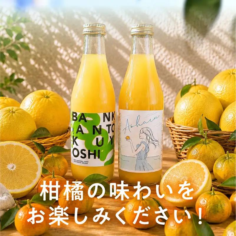 S178-001_ストレートジュース温州みかん・天草晩柑飲み比べセット