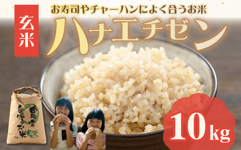 
【先行予約】令和6年産 華越前はお寿司やチャーハンによく合うお米です（玄米 10kg） ※2024年9月上旬以降順次発送予定 [A-040022]
