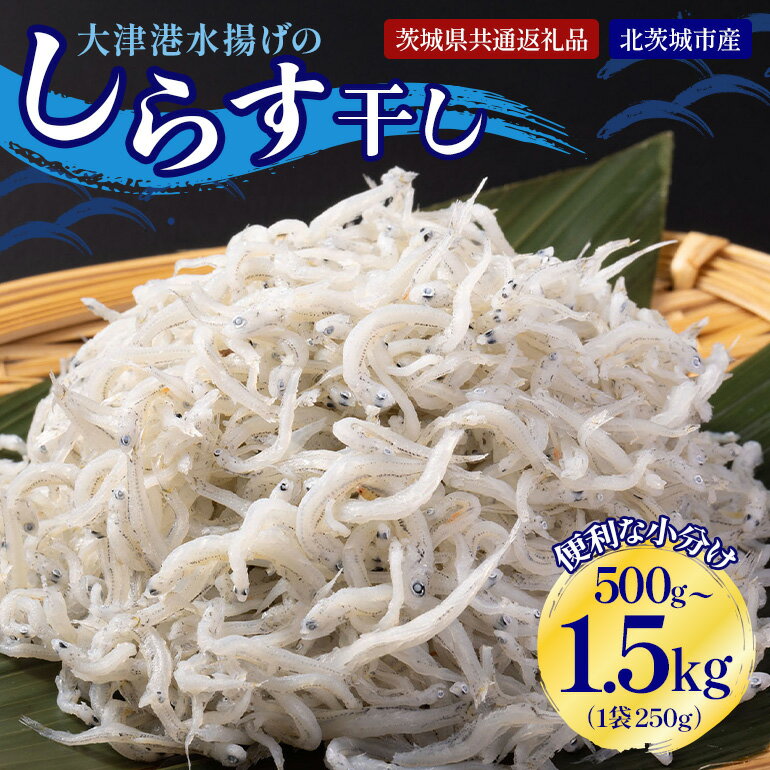 【ふるさと納税】 大津港水揚げのしらす干し 500g〜1.5kg（茨城県共通返礼品・北茨城市産）