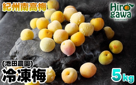 冷凍 梅 5kg 家庭用 / 南高梅 訳あり 黄梅 完熟梅 梅ジュース 梅酒 和歌山 ※6月より順次発送 ※北海道・沖縄・離島への配送不可 【ikd510-c-5】