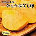 【ふるさと納税】和歌山秋の味覚　平核無柿（ひらたねなしがき）　約7.5kg　※2024年10月上旬頃〜2024年10月下旬頃順次発送（お届け日指定不可）