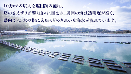 [今期分発送開始] 生食可 塩田熟成牡蠣 クレールオイスター プレミアムサイズ 12個 牡蠣 濃厚 熟成 養殖広島 大崎上島 瀬戸内 せとうち 離島 国産 かき カキ ギフト 送料無料 産地直送 ファ