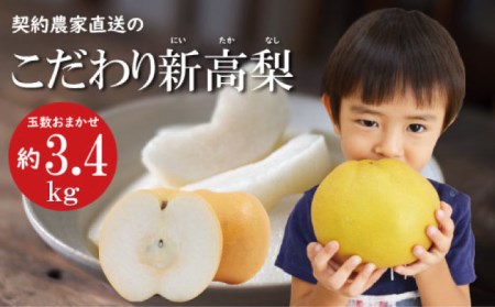 【2026年9月中旬～発送】【シャリッとおいしい！】新高梨 約3.4kg / 梨 なし  南島原市 / ふるさと企画 [SBA030]