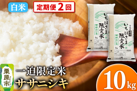 《定期便2回》【白米】令和7年産 一迫限定米 ササニシキ 10kg（5kg×2袋）