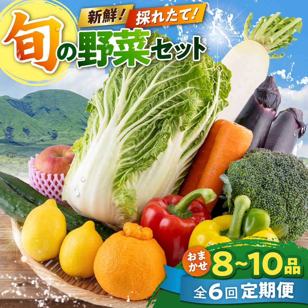 【ふるさと納税】【全6回定期便】旬な野菜おまかせ詰め合わせセット 野菜 野菜セット 詰め合わせ 直送 産地直送 国産 九州産 送料無料 旬 野菜 セット 冷蔵 クール便 熊本産 定期便【合志物産販売 志来菜彩】[AYCA004]