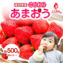 【ふるさと納税】こだわりあまおう 250g×2パック（合計500g）｜2024年12月〜順次発送＜ひらい観光農園＞ いちご 苺 産地直送 あまおう