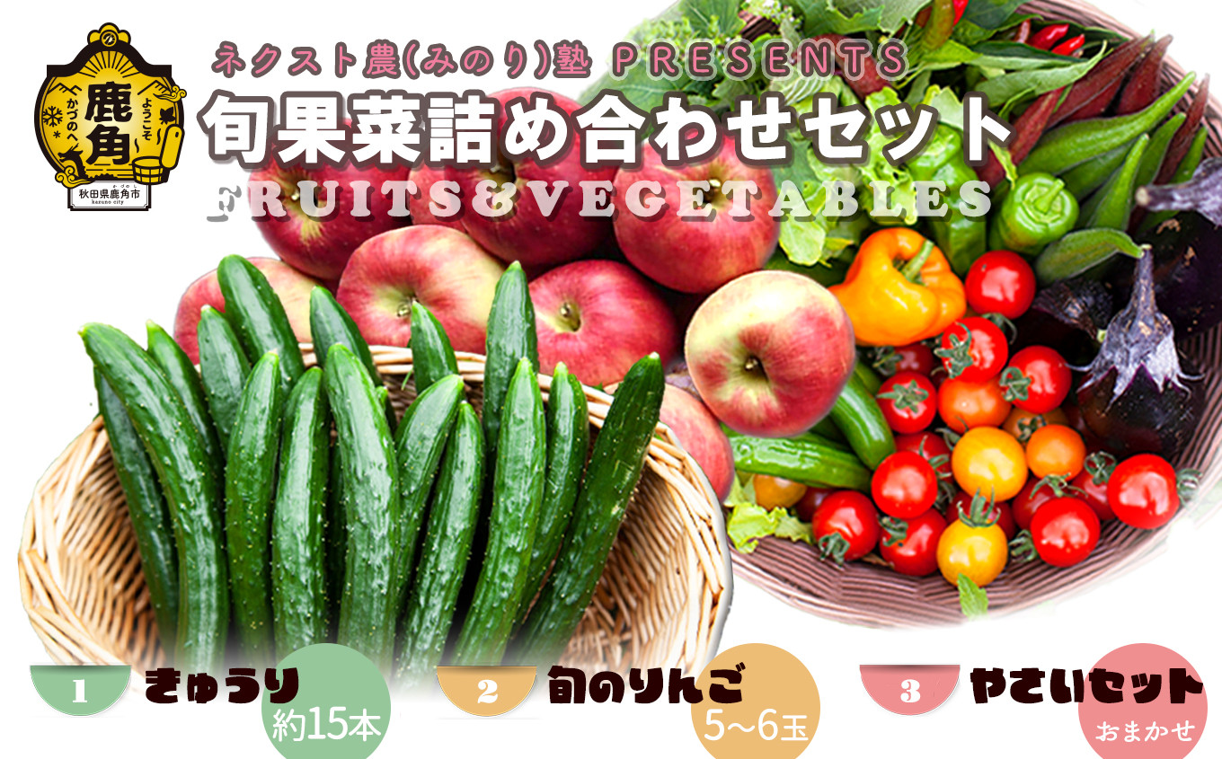 
            令和7年産 ネクスト農（みのり）塾 PRESENTS 旬果菜詰め合わせセット「きゅうり／旬のりんご／旬の野菜」【優作ファーム】●2025年9月中旬発送開始 野菜 旬 果物 くだもの フルーツ 食べ比べ セット 詰め合わせ 贅沢 特産 国産 鹿角産 秋田県 秋田 あきた 鹿角市 鹿角 かづの ギフト プレゼント
          