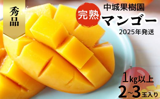 【2025年発送 先行受付】中城果樹園の完熟マンゴー≪秀品≫ 1㎏以上　アーウィン種 沖縄 特産品 完熟マンゴー フルーツ 果物 デザート スイーツ ジュース スムージー アイス シャーベット ソルベ 贈答 贈り物 プレゼント お土産 お見舞い お中元 ギフト 数量限定