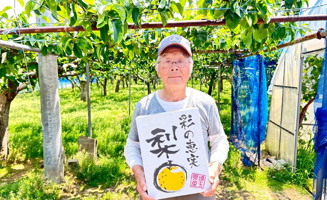 梨 なし ナシ 和梨 にっこり