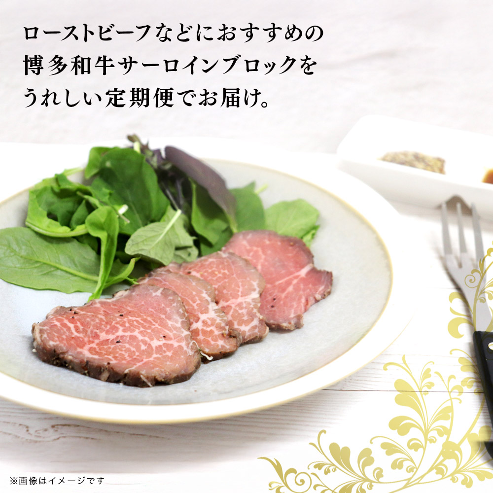 博多和牛 サーロインブロック 定期便全6回 計約3kg 博多和牛 肉 お肉 和牛 牛肉 国産 ステーキ サーロインステーキ ブロック 福岡県 八女市 072-T138