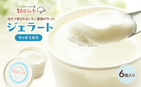 ジェラート ミルク アイス ジェラート【6個】