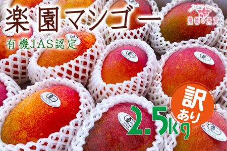 DQ021《先行予約》2026年発送 有機JAS認証マンゴー（アーウィン）わけあり 2.5kg【楽園の果実】