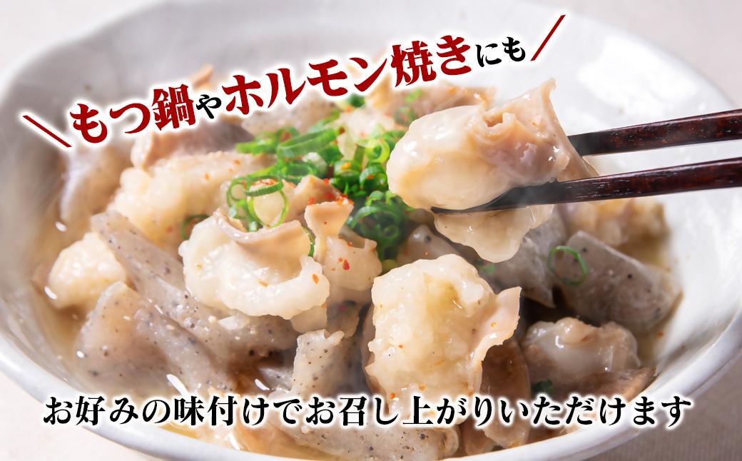 訳あり牛ホルモン3㎏ 小分け200g×15 国産 ホルモン もつ鍋 焼肉用 国産牛 牛モツ コラーゲン＜2-111＞