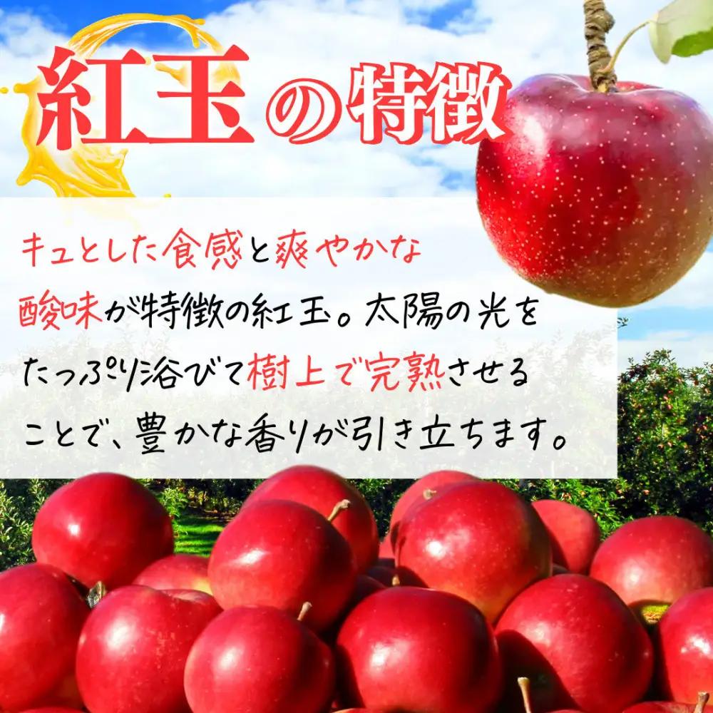 【9月下旬発送 先行予約】樹上熟成　紅玉 3kg | りんご 紅玉  加工用