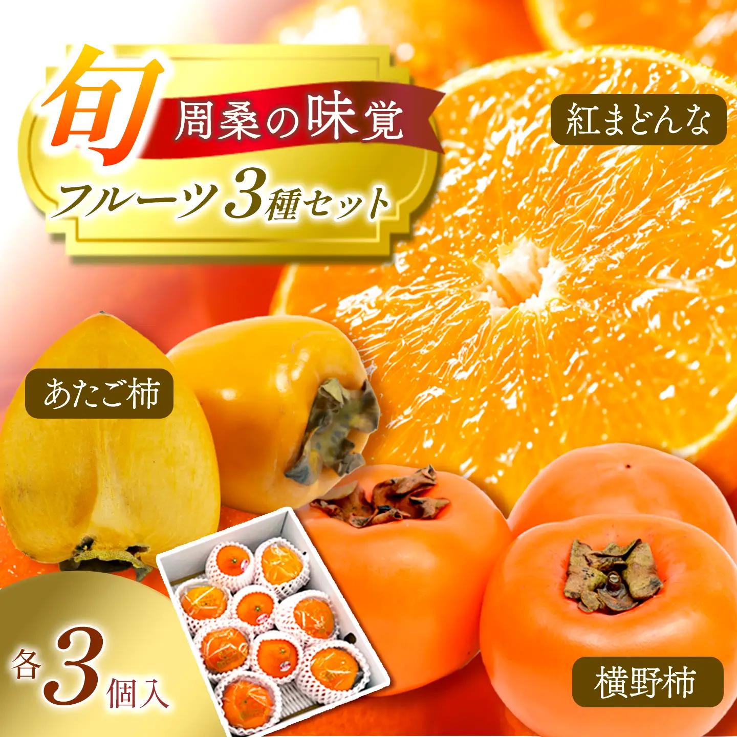 【12月発送】旬フルーツ3種【紅まどんな・あたご柿・横野柿】周桑の味覚各3個入｜紅まどんな