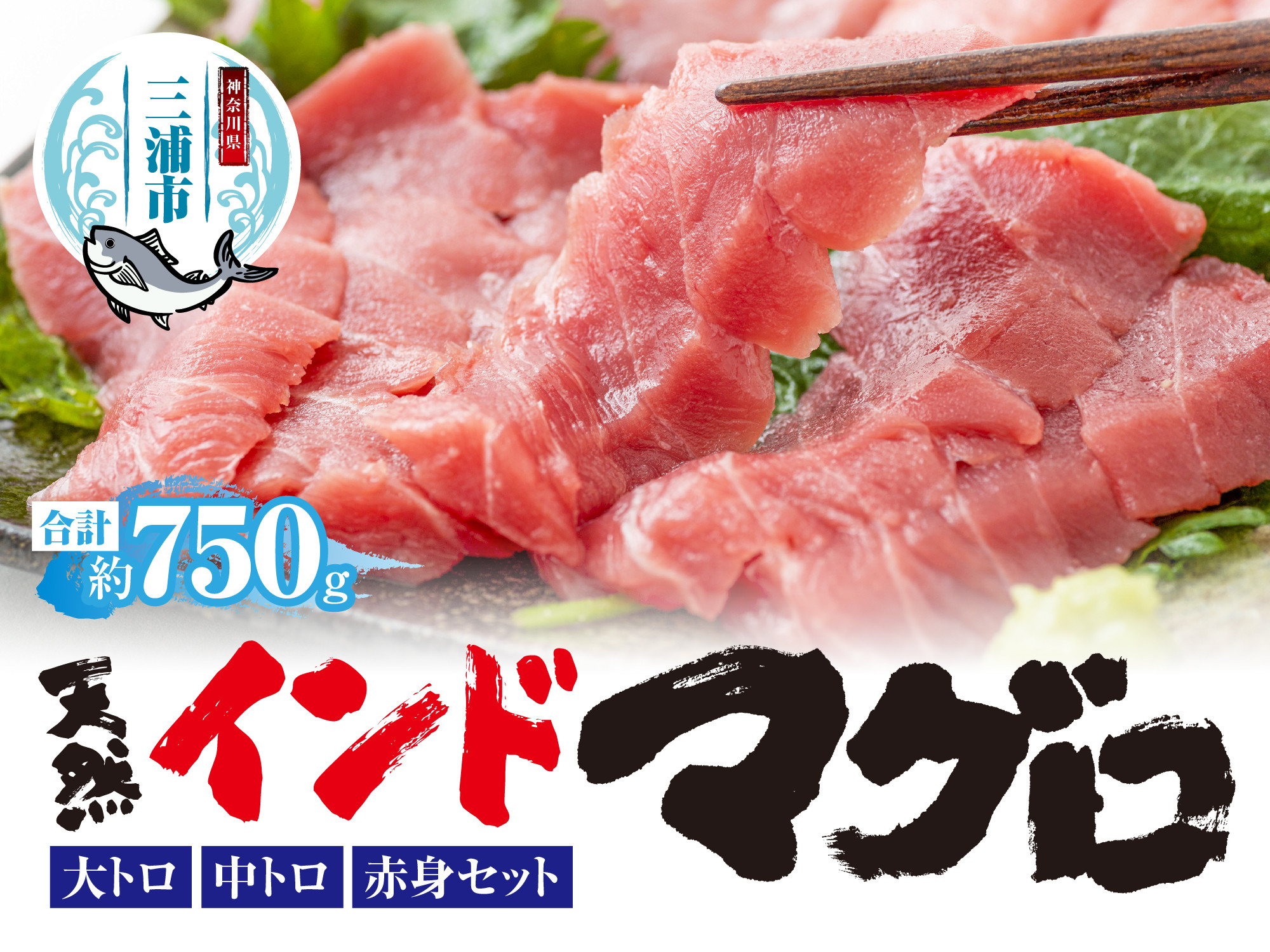 
            三崎マグロ 鈴木水産 天然インドマグロ（大トロ・中トロ・赤身）セット　M105-001
          