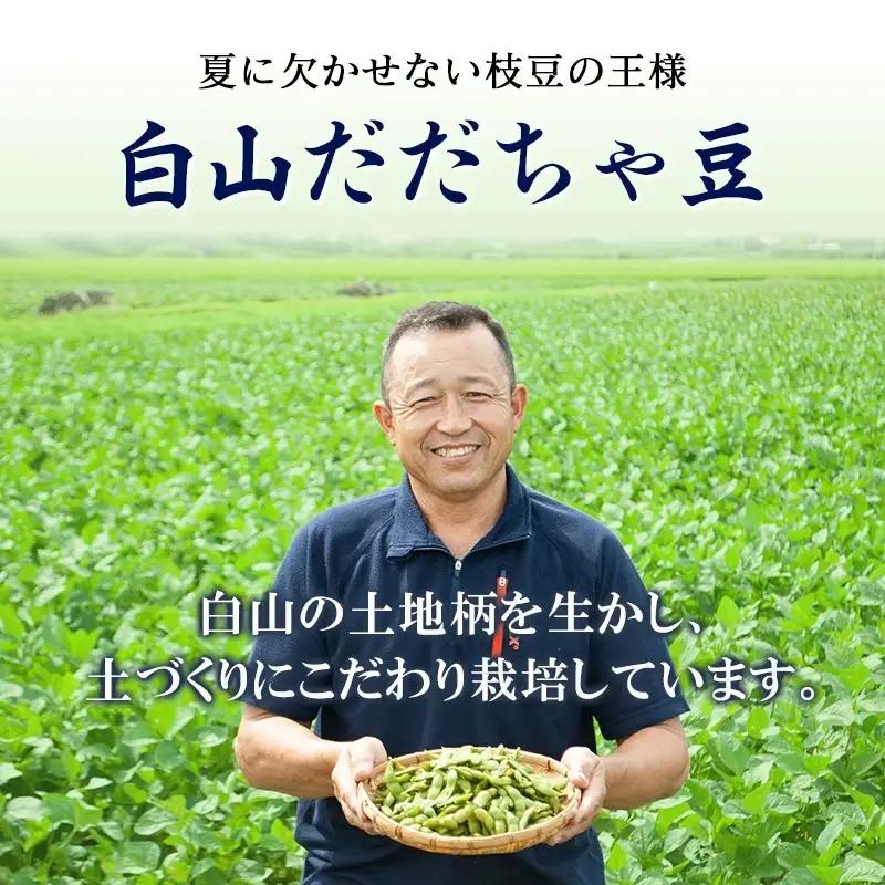 【令和8年産先行予約】【訳あり】白山だだちゃ豆　5kg（1kg × 5袋）　長五郎