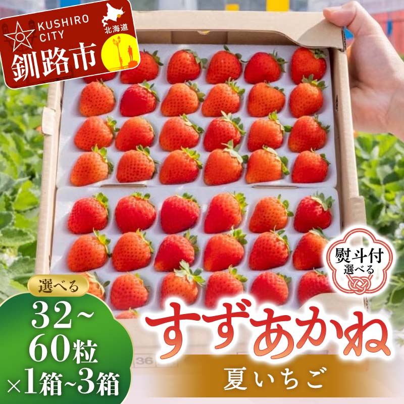 【ふるさと納税】＼選べる容量・熨斗ありorなし／先行予約!【2026年6月末から順次発送】すずあかね 32〜60粒 1箱 2箱 3箱 夏いちご 贈答用 イチゴ 夏イチゴ 果物 苺 いちご 夏 スィーツ ケーキ フルーツ 北海道 F5F-0095var