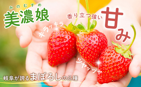 いちご 美濃娘 みのむすめ 18粒×2パック イチゴ 苺 フルーツ 旬 甘い ジューシー 生 美味しい ストロベリー 果物 ギフト 国産 産地直送 農家直送 送料無料 いび大野農園 岐阜県 揖斐川町