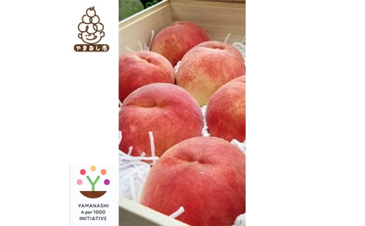 数量限定!＜高級桃桐箱入り＞5～6玉入り　山梨市産地直送　約2kg箱【1178164】
