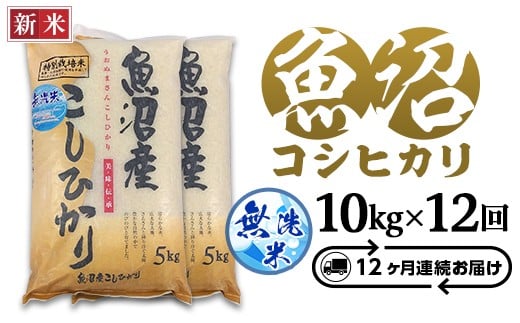 
            C2-7M10ZA【12ヶ月連続お届け】新潟県魚沼産特別栽培米コシヒカリ無洗米10kg（5kg×2袋）（長岡川口地域）
          