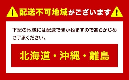 ぶどう プレミアム シャインマスカット 船穂 赤秀品 晴王 650g 《2025年9月中旬-11月上旬頃より出荷予定(土日祝除く)》ハレノスイーツ 岡山中央卸売市場店 マスカット 送料無料 岡山県 浅