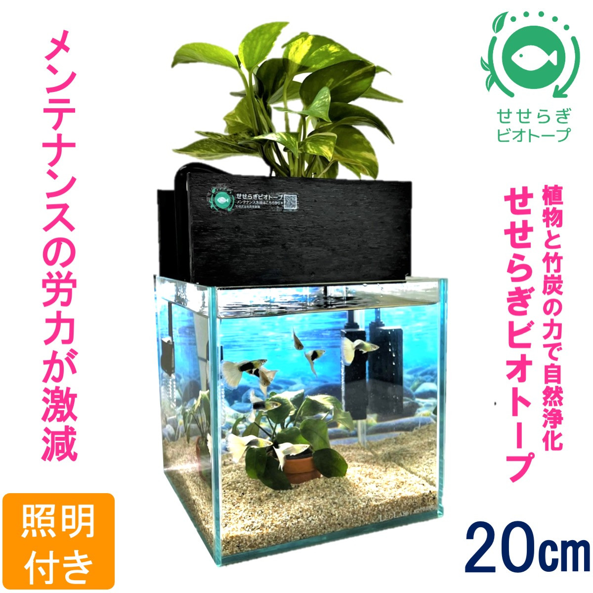 
水槽セット　せせらぎビオトープ　20cm型照明　植物　魚　(黒・グレー）
