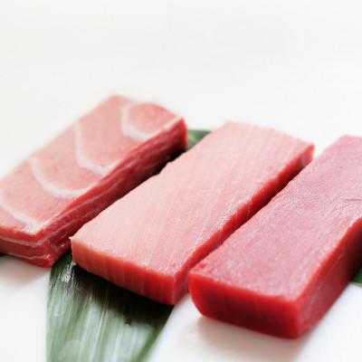 ふるさと納税 三浦市 特選本まぐろ満足セット |  | 01