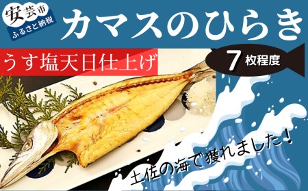 田渕水産 カマス 干物 7枚程度 うす塩