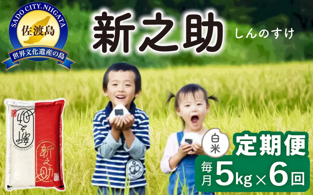 
                  【6か月定期便 新之助】佐渡島産 新之助 白米 合計30kg（5kg×毎月お届け全6回）令和8年産 新米 単一原料米 | 新潟県産新之助 新潟産新之助 佐渡産新之助 しんのすけ 新之助 お米 米 白米 精米 ブランド米 おこめ コメ 5キロ 大粒 世界農業遺産 にいがた さど 新潟県 佐渡市
                