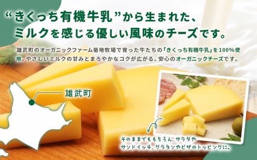 北海道雄武町産　きくっち有機チーズ（80g×10個）