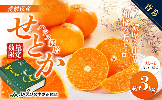 せとか ハウス栽培　青秀　約3kg 果物類 みかん 柑橘 フルーツ 食後 デザート ジューシー 甘い コク 香り 国産 愛媛県産 愛媛県産せとか