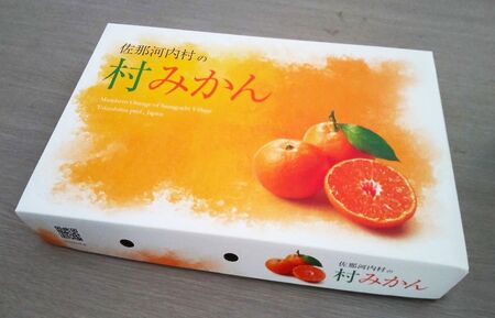 熟成みかん『極旨』2箱【配送不可地域あり】※離島 《2月初旬-2月末頃出荷予定》